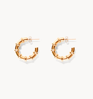 STELLAR HOOP